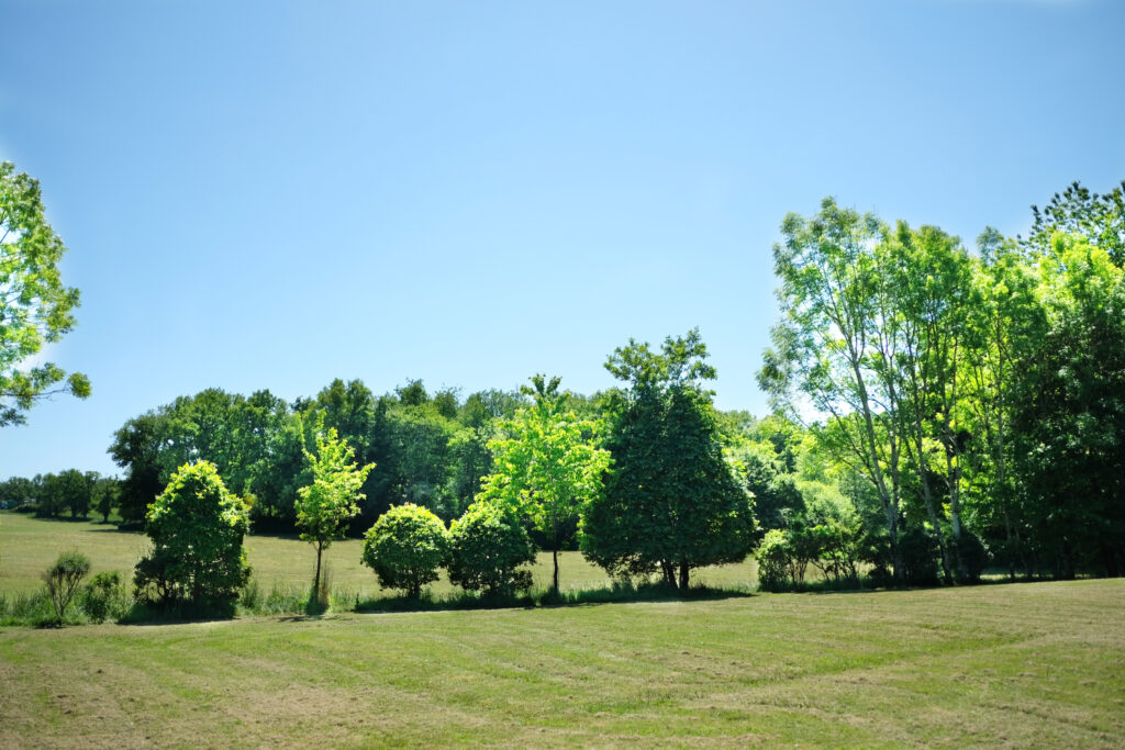 Landelijke omgeving van het huis met de velden en bomen.